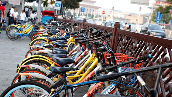 HCMC pilots public bicycle rental service ảnh 1