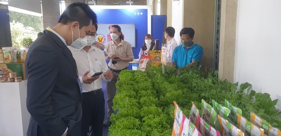 Expanding linkage between Ho Chi Minh City and Mekong Delta ảnh 3