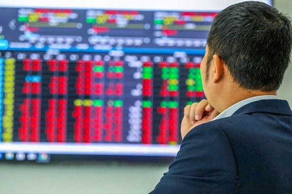 Fear beginning to set among new investors ảnh 1