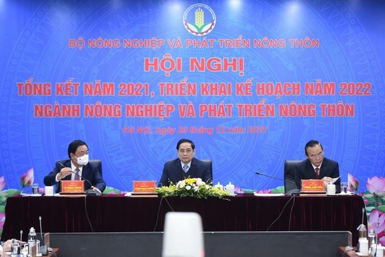 Exports of agriculture, forestry, fishery forecast to reach US$48.6 billion  ảnh 1