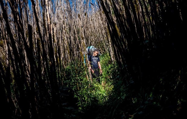 First Vietnamese joins World Press Photo Contest jury ảnh 1