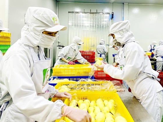 Program OCOP enhances consumption of Vietnamese farm produce ảnh 1