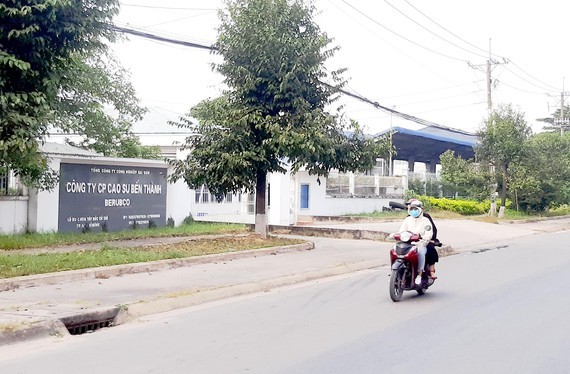 Industrial activities in HCMC facing challenges ảnh 1