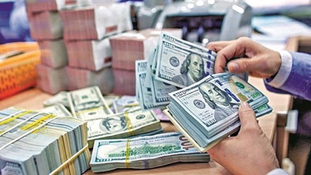 Remittances to HCMC total US$6.6 billion last year ảnh 1