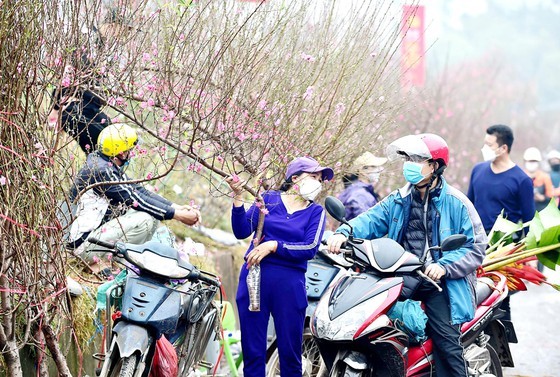 Spring atmosphere in the air countrywide ảnh 2