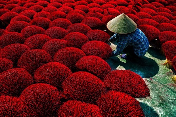 Local image wins prize at CEFF International Environmental Photography ảnh 1