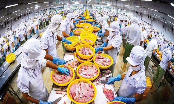 China and USA main markets of Vietnamese goods ảnh 1