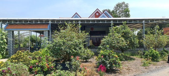 Billionaire village in Mekong Delta province ảnh 6