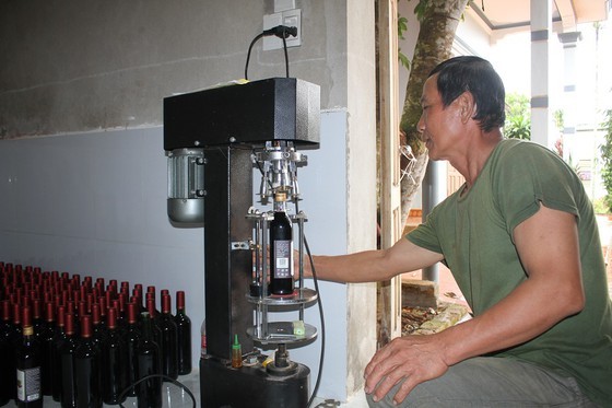 Mulberry cultivation, product processing, money-spinner in poor province ảnh 7