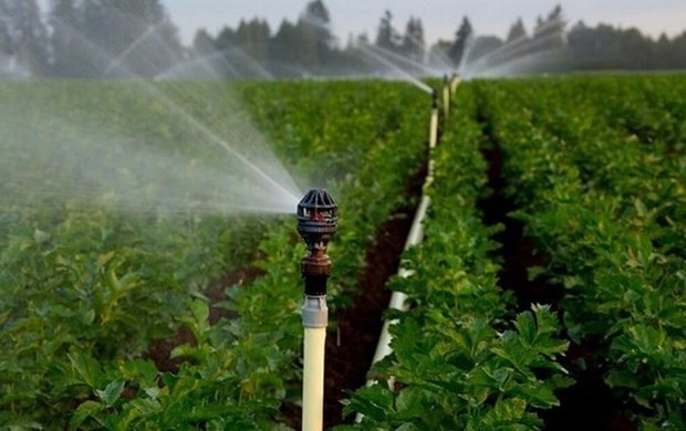 World Water Day 2022 urges greater attention to groundwater ảnh 1