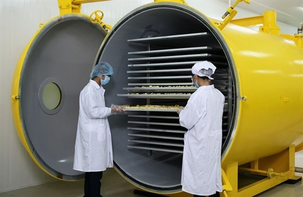 Demand for Vietnamese fruits and vegetables skyrockets overseas ảnh 1