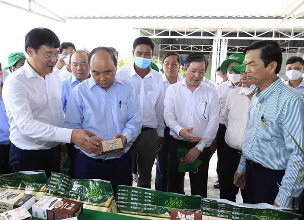 President asks Dong Thap to step up scientific-technological application ảnh 1