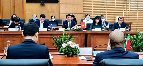 Vietnam wants to import coal from Africa, Australia for electricity production ảnh 1