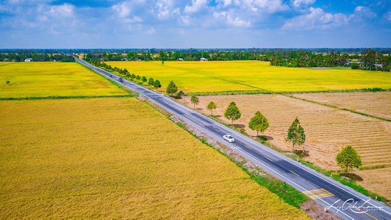 Vietnamese, Korean schools cooperate to train highly qualified human resources ảnh 1