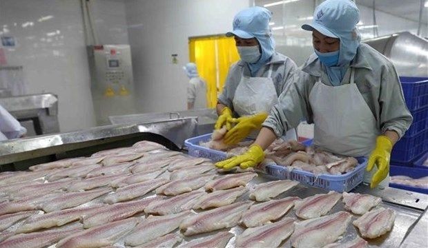 Vietnam’s pangasius exports surge in Q1 ảnh 1