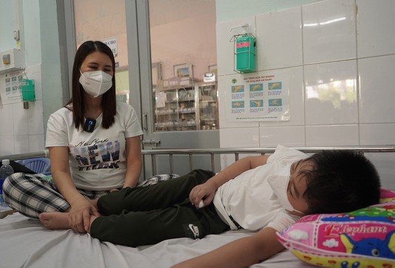 Reported severe cases, deaths of dengue fever in Southern region increase ảnh 1