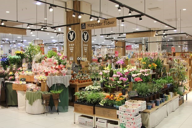 Japan now remains one of the important flower export markets of Vietnam ảnh 1