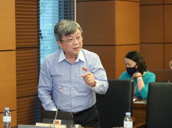 Foreign investors not allowed to co-own port, airports: former HCMC Secretary  ảnh 3