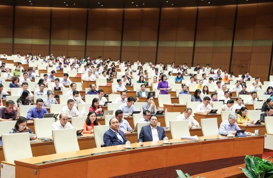 NA deputies focus on fiscal, monetary policies for socio-economic recovery  ảnh 1