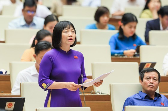 NA deputies focus on fiscal, monetary policies for socio-economic recovery  ảnh 2