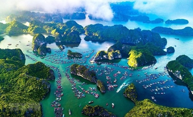 Huge potential for Vietnam to promote blue economy ảnh 1