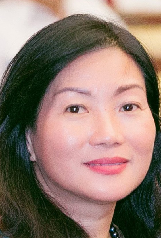 HCMC makes efforts to build environmentally friendly city ảnh 1