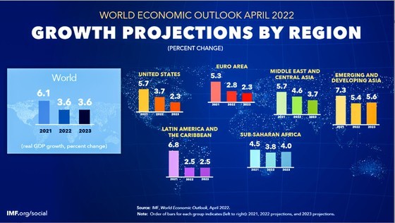 Rising interest rate no solution for inflation ảnh 1