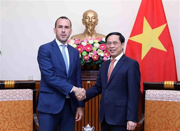 Minister of Foreign Affairs suggests Vietnam, Italy expand cooperation ảnh 1