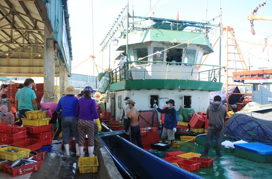 Community's role enhanced in combating illegal fishing ảnh 2