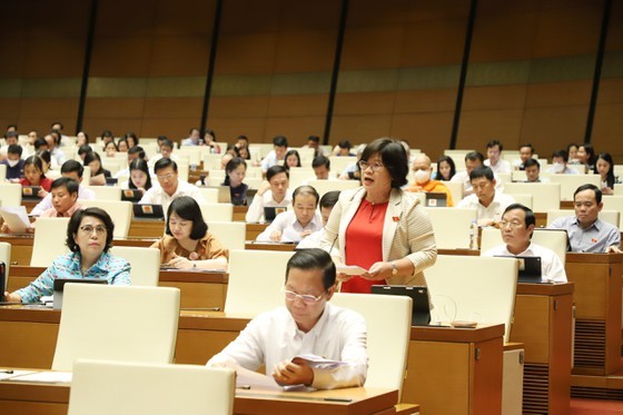 No further delay of expressway projects in Southern region ảnh 2