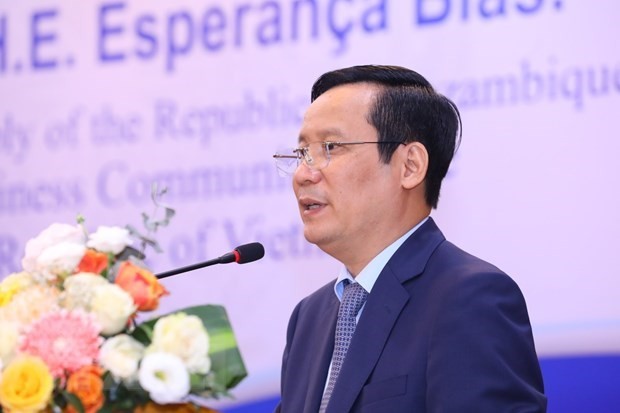 Mozambique – gateway for Vietnamese firms to access Southern Africa ảnh 2