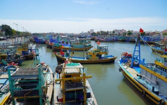 Ministry proposes support for fishermen  ảnh 1
