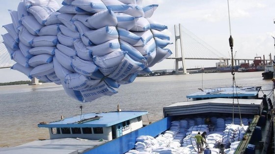 Vietnam expands exports of premium rice segment ảnh 1