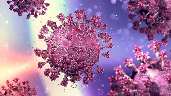 HCMC detects three cases of Omicron variants BA.4 and BA.5 ảnh 1