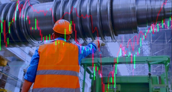 Seasoned investors unaffected by stock fluctuation ảnh 1