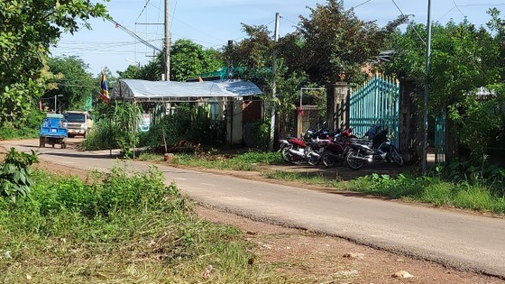 Pitbull-style dog mauls 8-year-old  boy to death ảnh 1