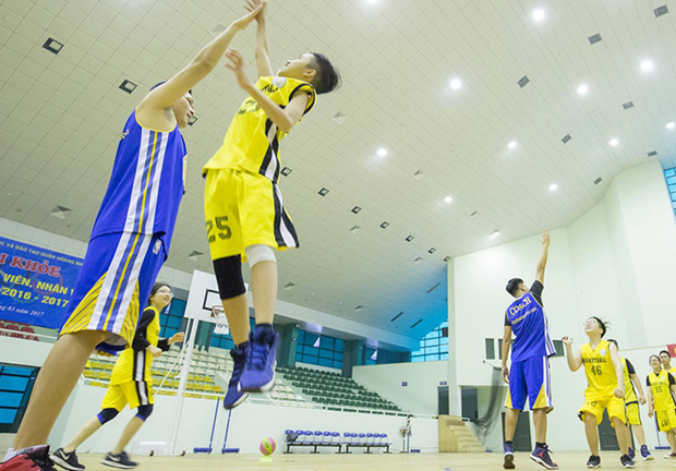 Vietnam ranks fourth in Southeast Asia in average height ảnh 1