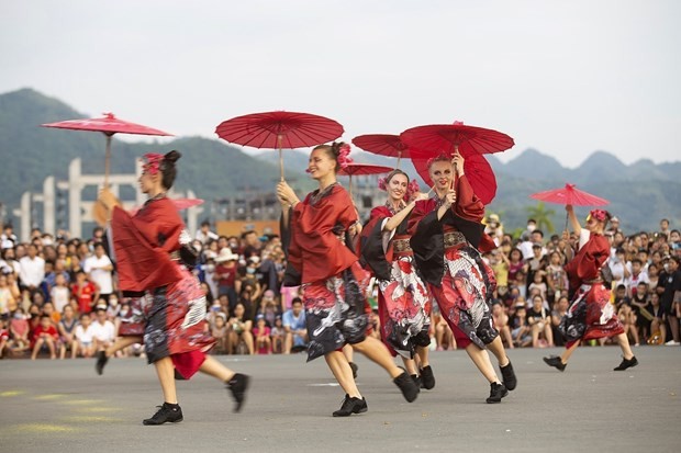 Street carnival attracts audiences in Hoa Binh province ảnh 1