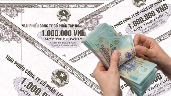 Value of private bond issuance down 10.9 percent in first seven months ảnh 1