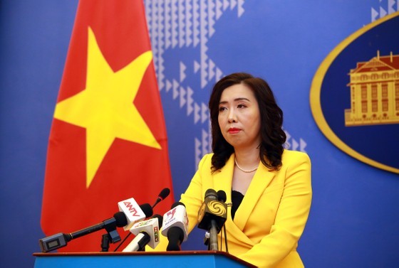 Spokeswoman: citizen protection for Vietnamese nationals going on ảnh 1