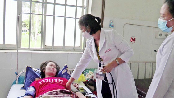HCMC records 18 deaths of dengue fever since beginning of 2022 ảnh 1