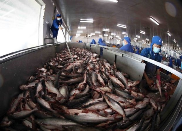 Seafood companies face a difficult third quarter ảnh 1