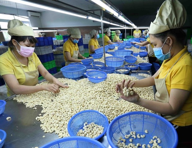 Firms urged to limit risks in foreign trade ảnh 1