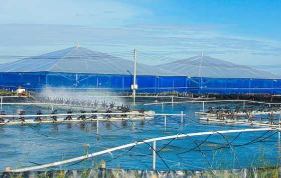 Soc Trang approves seafood development project of over US$42 million ảnh 1