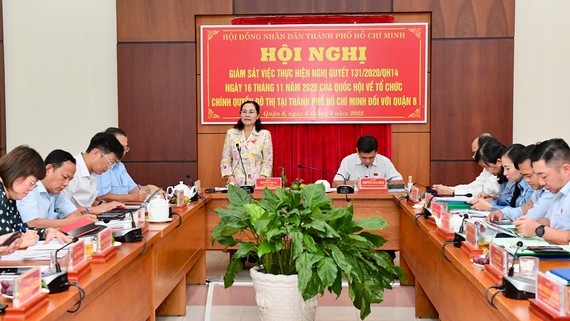 HCMC leaders supervise implementation of NA’s Resolution ảnh 1