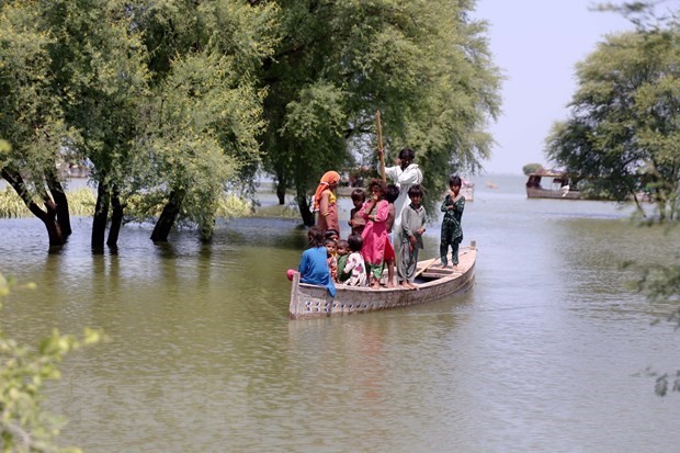 Top legislator offers sympathy to Pakistan over flood losses ảnh 1