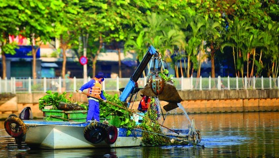  Indiscriminate dumping makes sanitation workers harder ảnh 1