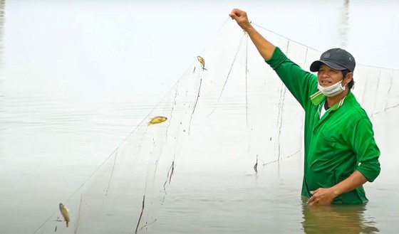 Floods bring abundance of fish to Mekong Delta ảnh 2