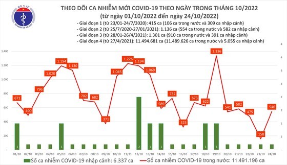 Vietnam records 546 Covid -19 cases on October 24 ảnh 1
