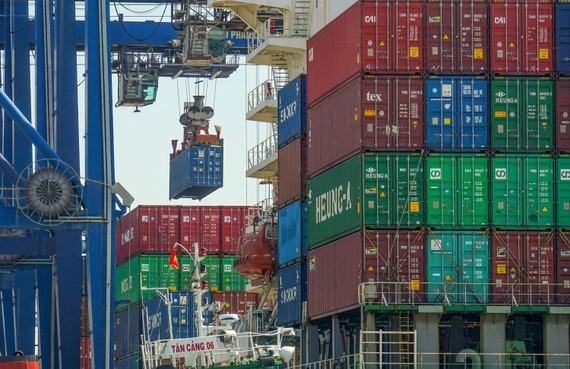 Evaluation of international transshipment port project in Can Gio needed ảnh 1